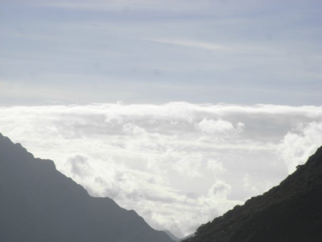 hnewzealandmakarora.jpg