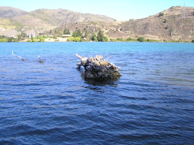 newzealandcromwell40.jpg