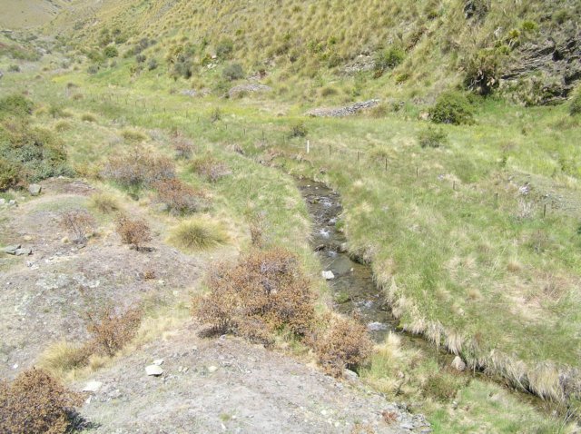 newzealandcromwelltowanaka10.jpg