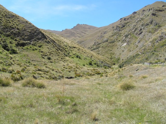 newzealandcromwelltowanaka11.jpg