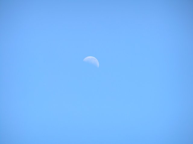 newzealandcromwelltowanaka13.jpg