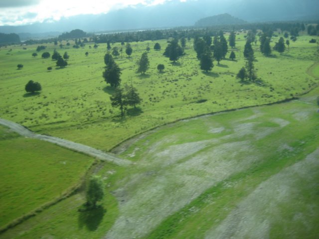 newzealandfranzjosefflight13.jpg