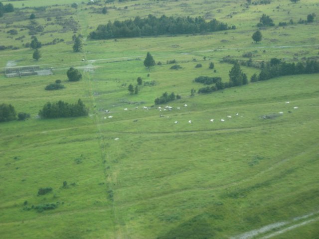 newzealandfranzjosefflight15.jpg