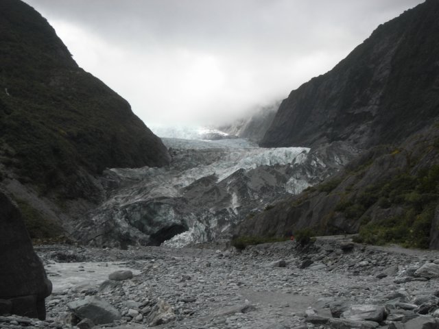 newzealandfranzjosefglaciertrack13.jpg