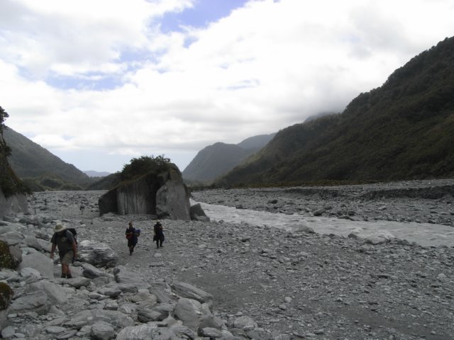 newzealandfranzjosefglaciertrack15.jpg