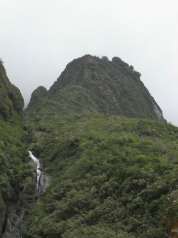 newzealandfranzjosefglaciertrack18.jpg