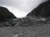 newzealandfranzjosefglaciertrack24_small.jpg