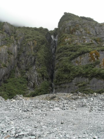 newzealandfranzjosefglaciertrack30.jpg