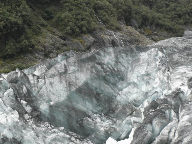 newzealandfranzjosefglaciertrack31.jpg