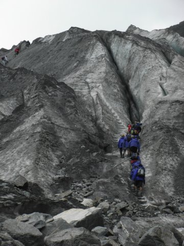 newzealandfranzjosefglaciertrack32.jpg
