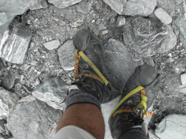 newzealandfranzjosefglaciertrack33.jpg