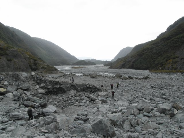 newzealandfranzjosefglaciertrack36.jpg