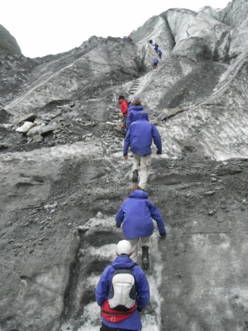 newzealandfranzjosefglaciertrack37.jpg