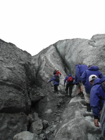 newzealandfranzjosefglaciertrack38.jpg