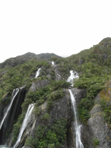 newzealandfranzjosefglaciertrack4.jpg