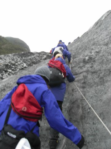 newzealandfranzjosefglaciertrack42.jpg