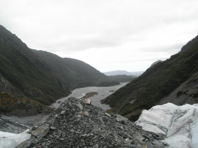 newzealandfranzjosefglaciertrack48.jpg
