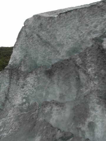 newzealandfranzjosefglaciertrack50.jpg