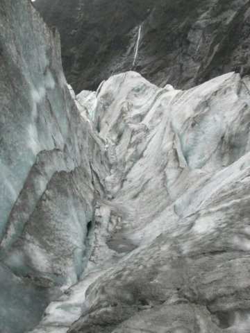 newzealandfranzjosefglaciertrack54.jpg
