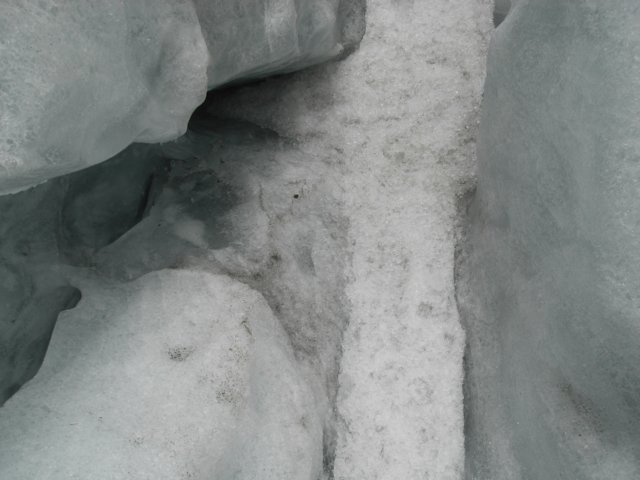 newzealandfranzjosefglaciertrack58.jpg