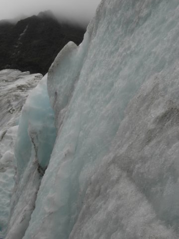 newzealandfranzjosefglaciertrack61.jpg