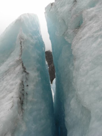 newzealandfranzjosefglaciertrack62.jpg