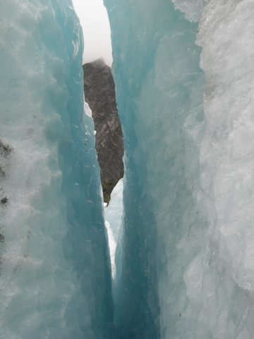 newzealandfranzjosefglaciertrack63.jpg