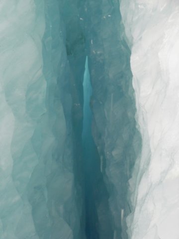 newzealandfranzjosefglaciertrack64.jpg