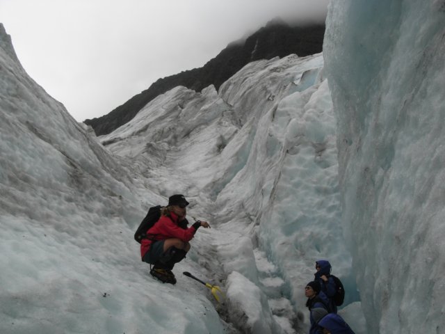 newzealandfranzjosefglaciertrack65.jpg