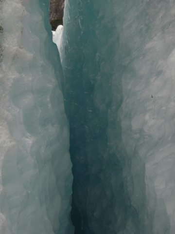 newzealandfranzjosefglaciertrack66.jpg