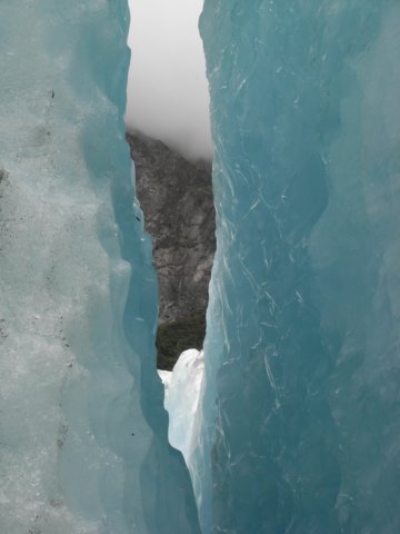 newzealandfranzjosefglaciertrack67.jpg