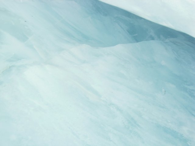 newzealandfranzjosefglaciertrack69.jpg