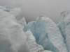 newzealandfranzjosefglaciertrack70_small.jpg