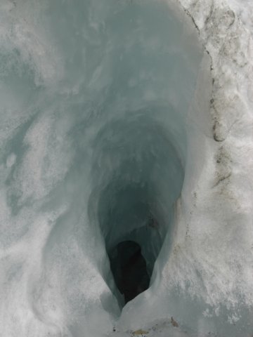 newzealandfranzjosefglaciertrack73.jpg