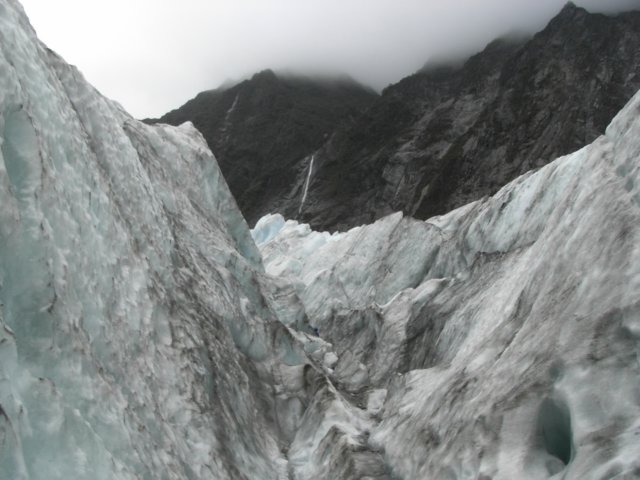 newzealandfranzjosefglaciertrack75.jpg