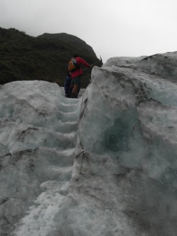 newzealandfranzjosefglaciertrack78.jpg