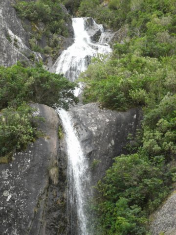 newzealandfranzjosefglaciertrack8.jpg