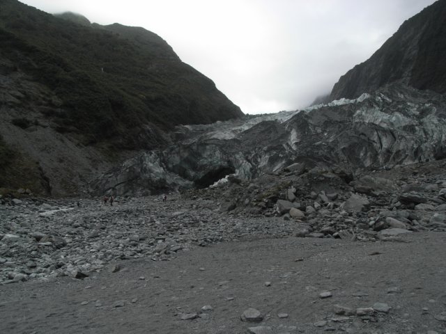newzealandfranzjosefglaciertrack82.jpg