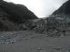 newzealandfranzjosefglaciertrack82_small.jpg