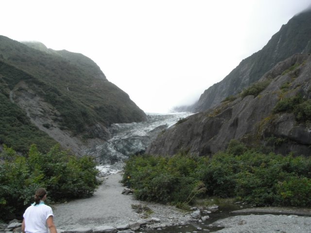 newzealandfranzjosefglaciertrack83.jpg