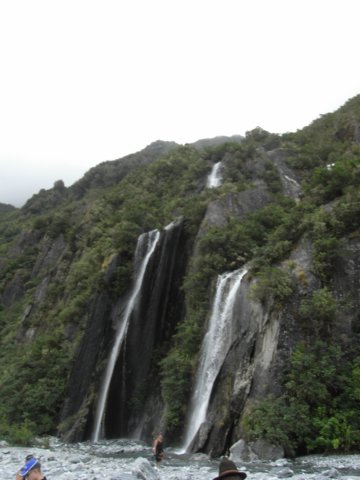newzealandfranzjosefglaciertrack9.jpg