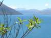 newzealandinvercargilltoqueenstownlakewakatipu24_small.jpg