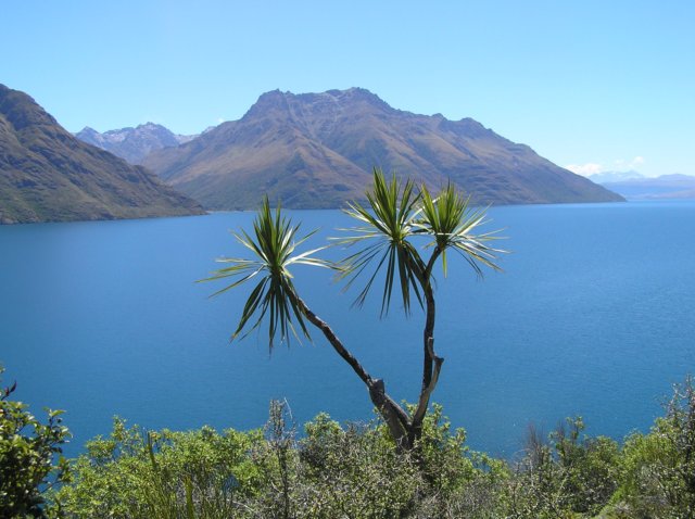newzealandinvercargilltoqueenstownlakewakatipu28.jpg