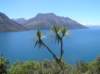 newzealandinvercargilltoqueenstownlakewakatipu28_small.jpg