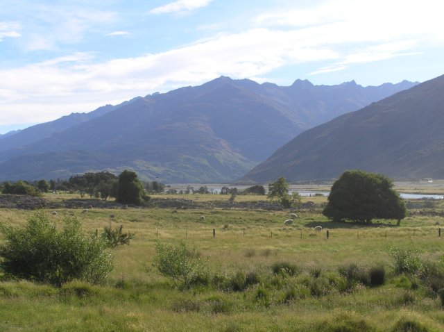 newzealandmakarora17.jpg