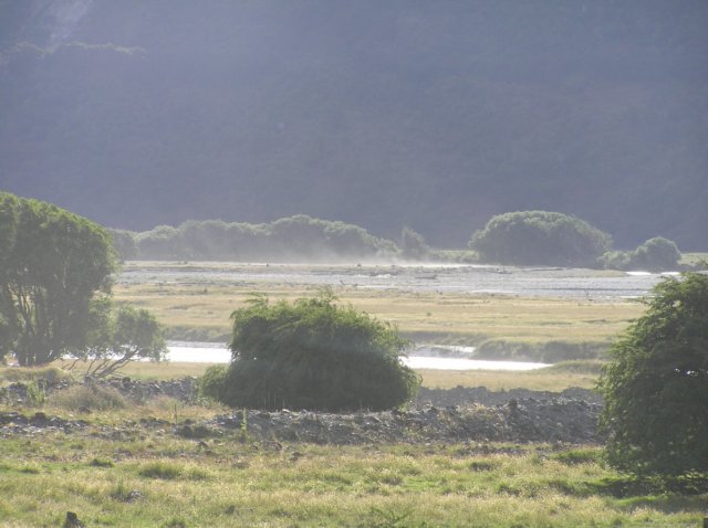 newzealandmakarora18.jpg