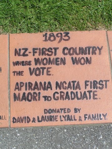 newzealandwanaka14.jpg