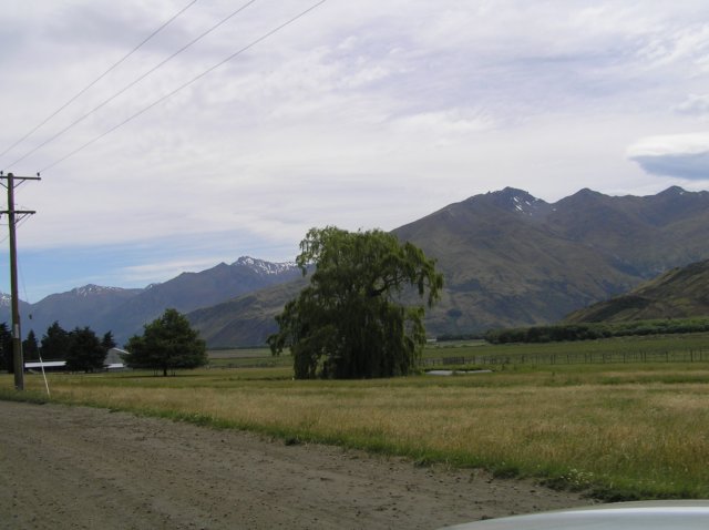 newzealandwanakaeastmatukitukivalleytrack2.jpg