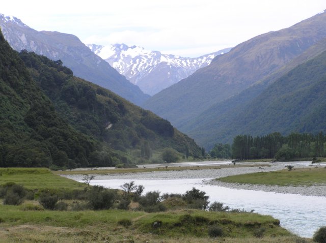 newzealandwanakaeastmatukitukivalleytrack26.jpg