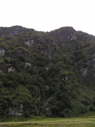 newzealandwanakaeastmatukitukivalleytrack35.jpg